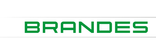 Brandes_Logo_m2G-1