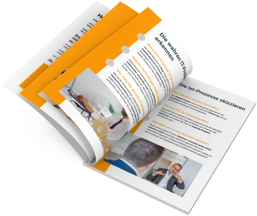 PDF Mockup open